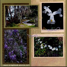 Magnolia Plantation Flowers 