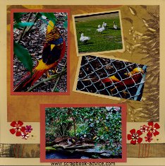 Magnolia Plantation Pheasant