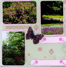 Norfolk Botanical Gardens Scrapbook Layout