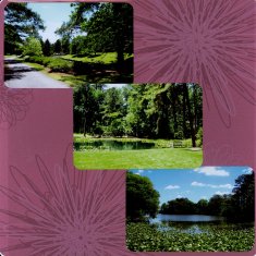 Norfolk Botanical Gardens Scrapbook Layout