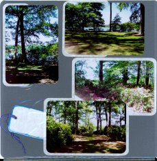 Norfolk Botanical Gardens Scrapbook Layout