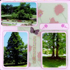 Norfolk Botanical Gardens Scrapbook Layout