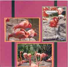 Flamingo Scrapbook Layout Using Ribbons