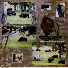 Yellowstone Scrapbook Layouts showing Buffalo at Hayden Valley & with snow