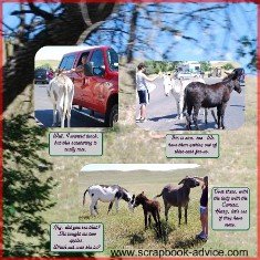 Custer State Park Scrapbook Layout of Donkeys in the Road