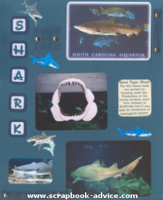 Aquarium Scrapbook Layout