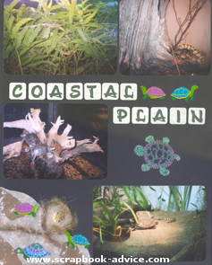 Aquarium Scrapbook Layout