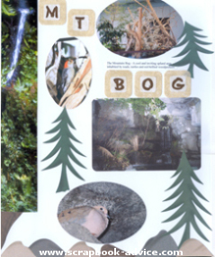 Aquarium Scrapbook Layout