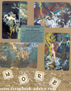 Aquarium Scrapbook Layout from Sketch