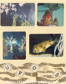 Aquarium Scrapbook Layout from Sketch