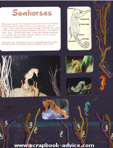 Aquarium Scrapbook Layout