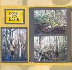 Francis Biedler Forest Scrapbook Layout 