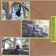 Africa Scrapbook Layout Zoo