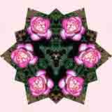 Kaleidoscope Kreator Scrapbook Software