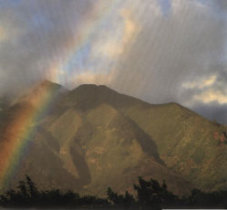 Scrapbook Paper Maui Rainbow