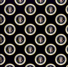 Obama Inauguration Scrapbook Paper
