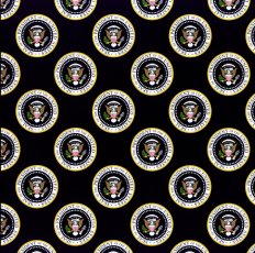 Obama Inauguration Scrapbook Paper