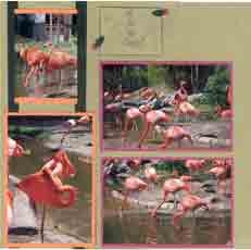 Flamingo Scrapbook Layout Using Ribbons