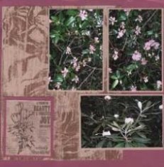 Table Rock Park Outdoor Scrapbook Layout