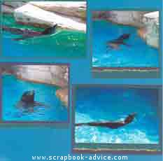 Aquarium Scrapbook Layout using layered torn photo mattes & Tags