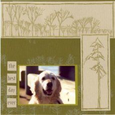 Outdoor Pet Scrapbook Layout