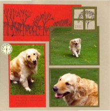 Windy Outdoor Pet Scrapbook Layout