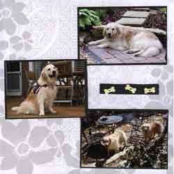 Canine Assistants Scrapbook Layout