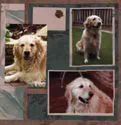 Canine Assistants Scrapbook Layout