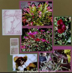 Biltmore Estate Scrapbook Layout Ideas