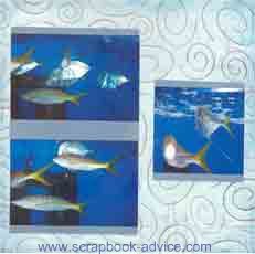 Aquarium Scrapbook Layout showing Fish School