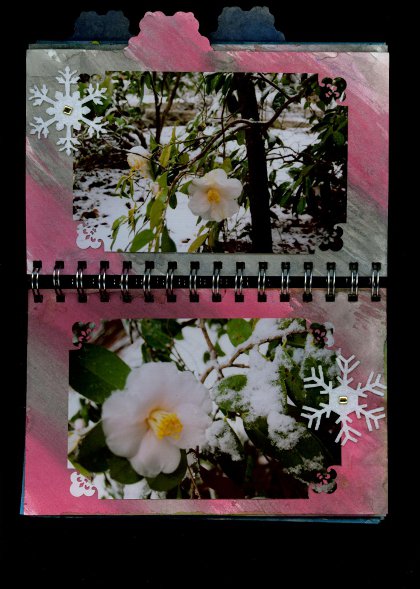 Glimmer Mist Glimmer Glass Frosty Album Glimmer Mist Glimmer Glass Frosty Album