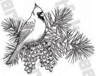 Heartfelt Creations Cardinal Pine Bough Stamp