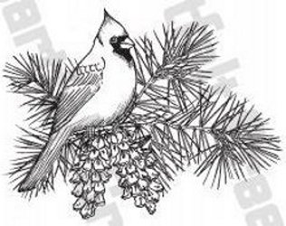 Heartfelt Creations Cardinal Pine Bough Stamp Heartfelt Creations Cardinal Pine Bough Stamp