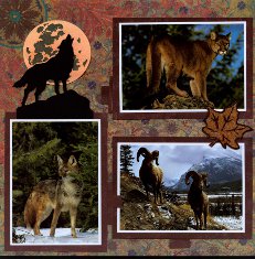 Yellowstone Park Scrapbook Layout & Embellishments