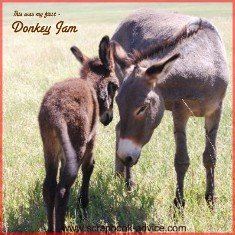 Custer State Park Scrapbook Layoutht of Donkeys in the Road