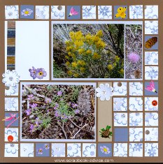 Yellowstone Park Flowers done using Mosaic Moments Page Kit Layout