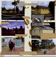 Yellowstone National Park Scrapbook Layout Ideas