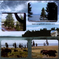 Yellowstone Scrapbook Layouts showing Buffalo at Yellowstone Lake Lodge