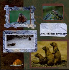 Yellowstone Park Scrapbook Layout showing small mammals such as squirrels & chipmonks