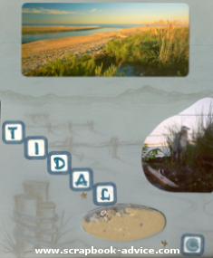 Aquarium Scrapbook Layout