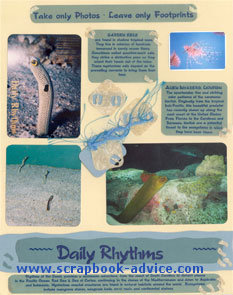 Aquarium Scrapbook Layout using fibers, tags and a shaker box