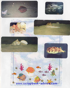 Aquarium Scrapbook Layout showing sand and coral