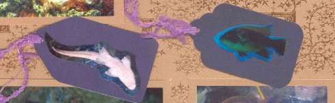 Cropped Scrapbook Layout Photos Cropped Scrapbook Layout Photos