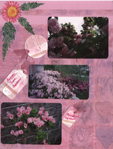 Floral Scrapbook Layout