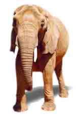 Zoo Africa Scrapbook Layout of Elephant