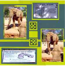 Zoo Scrapbook Layout - Elephants