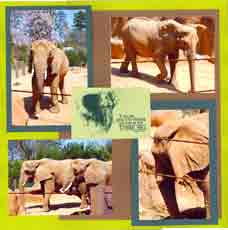 Zoo Africa Scrapbook Layout of Elephant