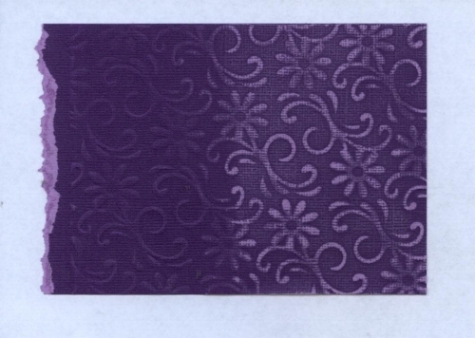 Core'dinations Cardstock