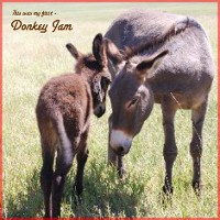 Yellowston Park Digital Scrapbook Layout