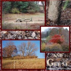 Biltmore Estate Scrapbook Layout